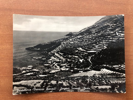 PANTELLERIA ( FRAZIONE KAMMA. TRAPANI) SORGENTI TERMALI GADIR 1954 - Trapani