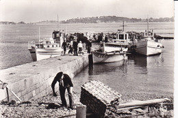 L'ARCOUEST -L' Embarcadère Et Les Vedettes Pour Bréhat. Au Fond, L'Ile - Ploubazlanec