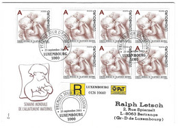 Luxembourg 2003 Allaitement Maternel ¦ Suckling ¦ Stillen - Lettres & Documents