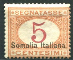 SOMALIA 1920 SEGNATASSE 5 CENT. SASSONE N .23  ** MNH FRESCHISSIMO - Somalia