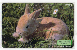 JAPON  TELECARTE LAPIN N° 231-143 Date 1994 - Lapins