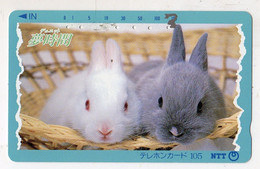 JAPON  TELECARTE LAPIN N° 331-027 Date 1991 - Konijnen