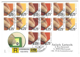 Luxembourg 2005 Timbres Autocollants Usage Courant ¦ Selbstklebende Briefmarken Freimarken - Brieven En Documenten