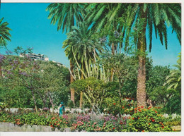 LAS PALMAS DE GRAN CANARIA POSTCARD KRUGER USED - La Palma