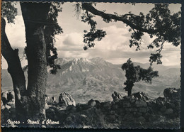 Delcampe - °°° 23037 - NUORO - MONTAGNE D'OLIENA (NU) 1961 °°° - Nuoro