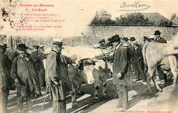 58. CPA. - Niévre - Foires En Morvan -  Les Boeufs - Maquignons -par Gervais - 1909 - - Fairs