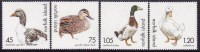 Norfolk Island 2000 Fowl Sc 697-700 Mint Never Hinged - Ile Norfolk