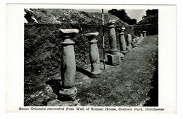 Ref 1449 - 3 Real Photo Postcards - Artefacts At Colliton Park Dorchester - Dorset - Autres & Non Classés