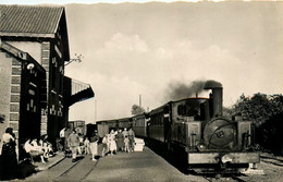 Le Crotoy * La Gare * Arrivée Du Tortillard * Train Locomotive * Ligne Chemin De Fer - Le Crotoy