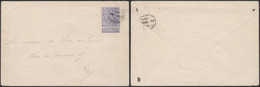 Expositions - N°71 Sur Grande Enveloppe Obl Journal "Bruxelles ... 96 JOURNAUX" > La Ville / Pli D'archive. Pas Courant - 1894-1896 Tentoonstellingen
