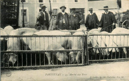 Parthenay * Le Marché Aux Porcs * Foire Cochons Marchands - Parthenay