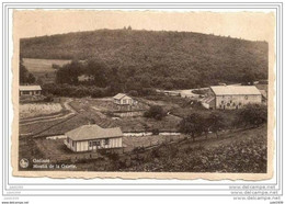 GEDINNE ..--  MOULIN De La Galette . Vers MOULIN De GROS - FAYS ( Melle Christiane DELVENNE ) . Voir Verso . - Gedinne