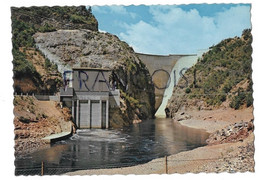 Tasmanie. Barrage Hydraulique. Devils Gate Dam - Other & Unclassified