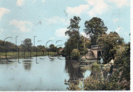 Bouaye (44) : Pêcheurs à La Ligne Au Pont De Grand Lieu En 1960 (anuimé) GF. - Bouaye