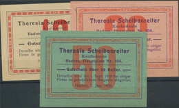 Austria / Österreich: Notgeld, Kleines Lot Von 24 Teils Recht Seltenen Firmennotgeldscheinen Um 1920 - Austria