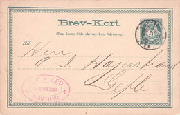 NORWAY - BREV-KORT 5 ÖRE 1885 CHRISTIANIA /Q224 - Enteros Postales