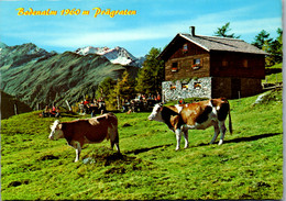 4233 - Tirol , Prägraten Wallhorn , Bodenalm Mit Stampflis Kopf - Nicht Gelaufen - Prägraten