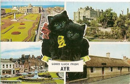 Scotland & Circulated, Good Luck From Ayr, Multi, Carlisle 1957 (35823) - Ayrshire