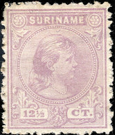 SURINAM - 1893 - Mi.30 12 1/2c Violet Mint Hinged - Suriname