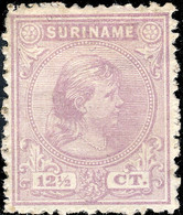 SURINAM - 1893 - Mi.30 12 1/2c Violet Mint Hinged - Surinam