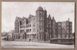 CPA PAYS DE GALLES - LLANDRINDOD WELLS - Ye Wells Hotel - TB PLAN Etablissement Et Sa Façade + Rue - Radnorshire