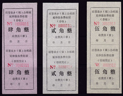 CHINA CHINE CINA  SICHUNAN WANGCANG 628200  ADDED CHARGE LABEL (ACL)  0.20YUAN,0.40YUAN,0.50YUAN SET - Autres & Non Classés