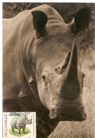 Mozambique & Maximum Card,  Fauna, Rinoceronte-Negro,  Diceros Bicornis, Maputo  1976 (396) - Rhinoceros