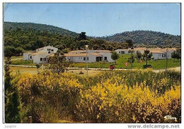 Bormes Les Mimosas - Village Vacances La Manne - Vue Générale - Circulé 1977 - Bormes-les-Mimosas