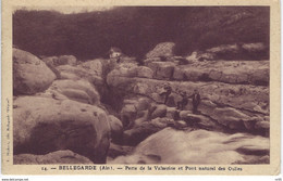 01 ( Ain ) - BELLEGARDE - Perte De La Valserine Et Pont Naturel Des Oulles ( Petite Animation ) - Bellegarde-sur-Valserine