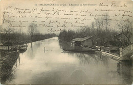 ESSONNE  BALLANCOURT   L'essonnes Au Petit Saussaye - Ballancourt Sur Essonne