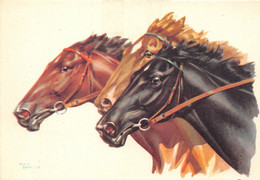 CHEVAUX - Pferde