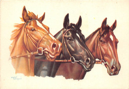 CHEVAUX - Caballos