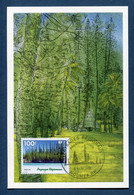 ⭐ Nouvelle Calédonie - Carte Maximum - Premier Jour - FDC - Paysages Réginaux - 1998 ⭐ - Maximumkarten