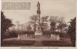 28  Loigny La Bataille     -  Le Bois Dez Zouaves - Loigny