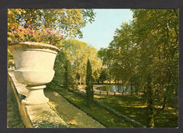 Château De CASTRIES (34 Hérault) Une Vue Du Parc ( Editions D'Art Veronese) - Castries