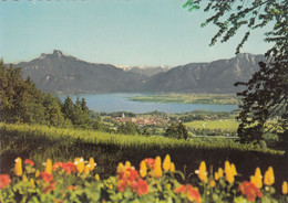 973) MONDSEE - Mit Schafberg Dachstein Und Drachenwand - Salzkammergut - - Mondsee