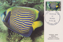 Carte  Maximum  1er  Jour   NOUVELLE CALEDONIE   Aquarium  De  NOUMEA   1986 - Cartes-maximum