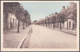 37  CPA De NEUILLE-PONT-PIERRE  Avenue Louis-Proust   Non écrite - Neuillé-Pont-Pierre
