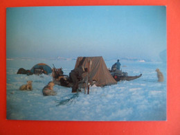 CP Groupe Etudes Regions Polaires Fjord SCORESBYSUND - GROENLAND EST - 10° Expédition GECRP Photo ELIN - TAAF : Terres Australes Antarctiques Françaises