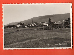 ZIA-19  Cortaillod, Vignes.  Perrochet 10666 Circulé Vers Windisch En 1963 - Cortaillod