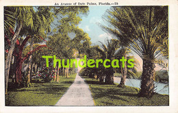 CPA AN AVENUE OF DATE PALMS FLORIDA - Palm Beach