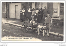 CPA 45 Ouzouer Sur Loire Un Attelage De Chien - Ouzouer Sur Loire