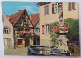 Germany, Marbach Am Neckar, Geburtshaus Mit Wilder Mann Brunnen - Marbach