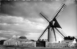 Ile De Ré * Le Moulin Du Morinand * Moulin à Vent Molen - Ile De Ré