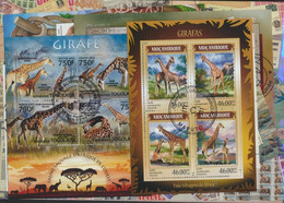 Motives Stamps-25 Different Giraffen Stamps - Giraffes