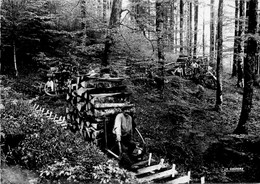 Vosges Pittoresques * Le Schlittage Du Bois * Travail En Forêt * Bûcheron Métier - Sonstige & Ohne Zuordnung