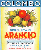 012069 "VARESE - CARDANO AL CAMPO - DISTILLERIE COLOMBO S.A. - SPREMUTA DI ARANCIO...."   ETICH. ORIG LABEL - Frutta E Verdura
