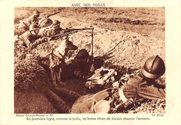 Militaria:   Guerre 39/45.  Divers Avec Nos Poilus  Dont Chien Mascotte    12   Cartes   (Voir Scan) - Guerre 1939-45