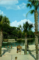 Florida Silver Springs Bathing Beach 1963 - Silver Springs