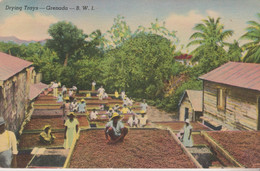 GRENADE - Grenada